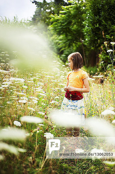 Mädchen betrachtet Pflanzen  während sie auf dem Feld steht