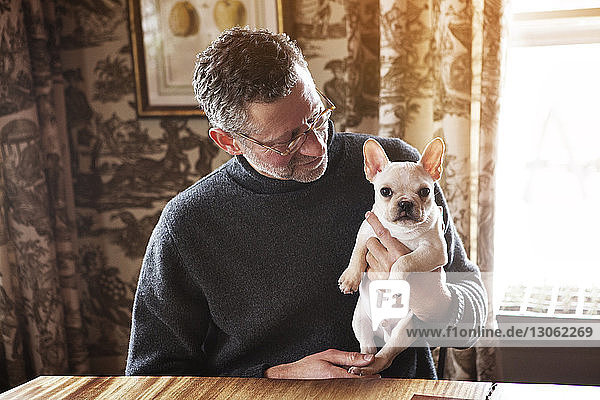 Mann schaut französische Bulldogge an  während er zu Hause am Tisch sitzt