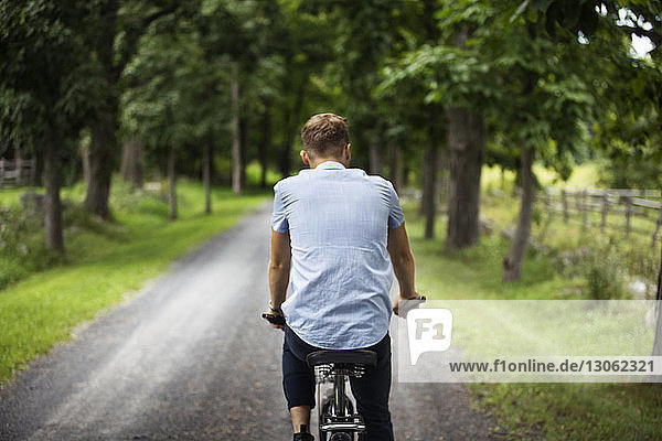 Mann fährt Fahrrad auf Straße im Wald