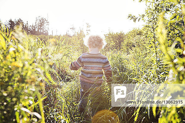 Rear view of boy standing at grassy field on sunny day