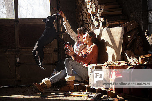 Siblings playing with dog while sitting at workshop