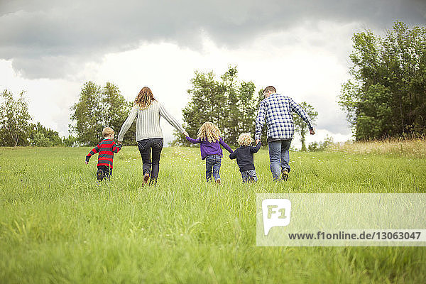 Rear view of family enjoying on grassy field