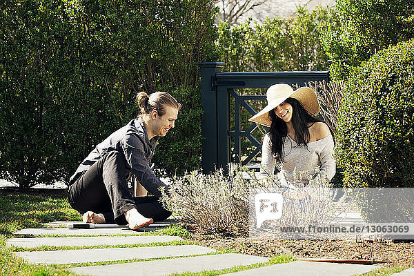 Smiling couple gardening in lawn