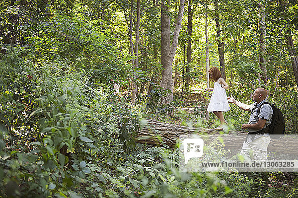 Mädchen balanciert auf Baumstamm mit Vater im Wald
