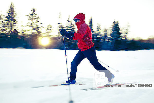 Skifahren in voller Länge auf schneebedecktem Feld mit kahlen Bäumen