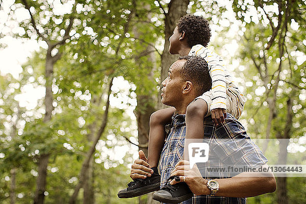 Father carrying son on shoulders while standing in forest