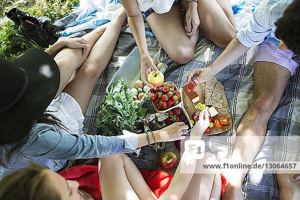 Schrägaufnahme von Freunden  die auf einer Picknickdecke sitzend Essen essen