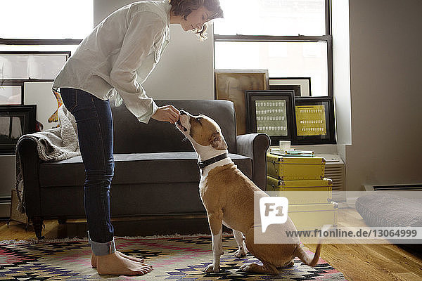 Seitenansicht einer Frau mit Hund im Wohnzimmer