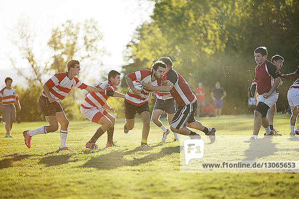 Rugby team playing on field during sunny day