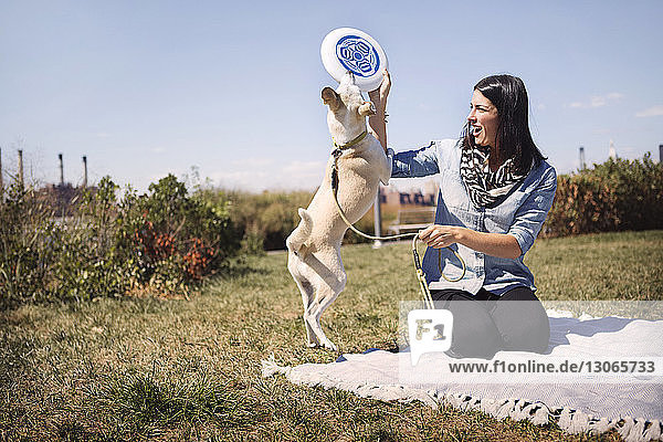 Frau gibt Frisbee an verspielten Hund im Park gegen den Himmel