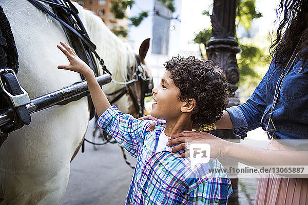 Junge berührt Pferd  während er auf Fußweg steht