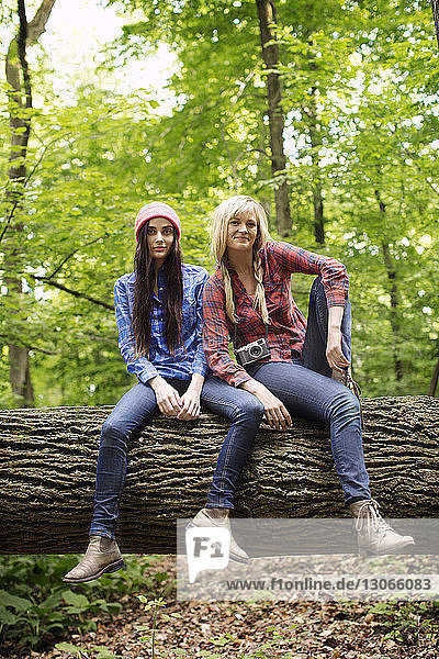 Porträt von Frauen auf einem Baumstamm im Wald sitzend