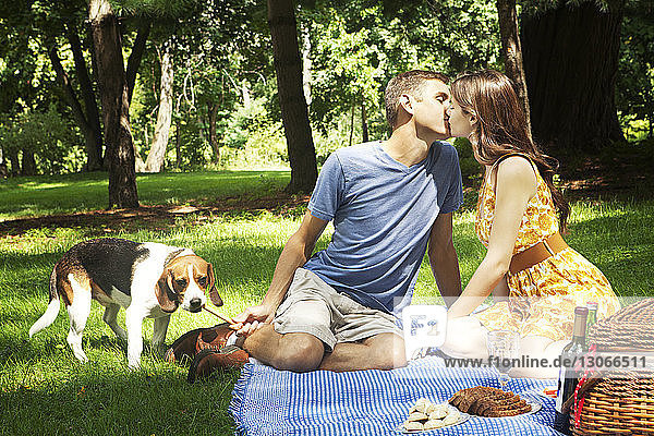 Beagle mit sich küssendem Paar im Park