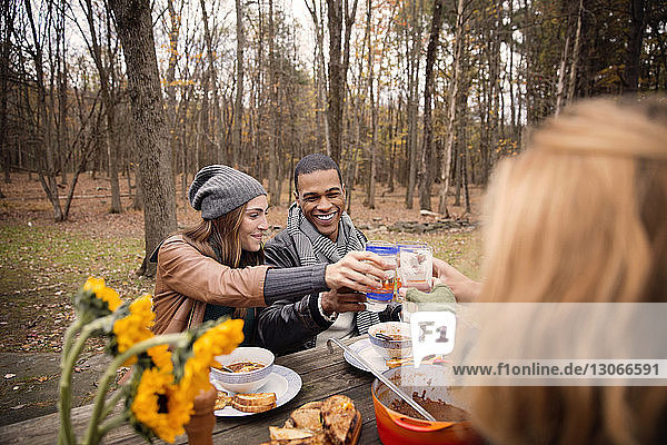 Couple toasting drink with friend at table against trees in forest