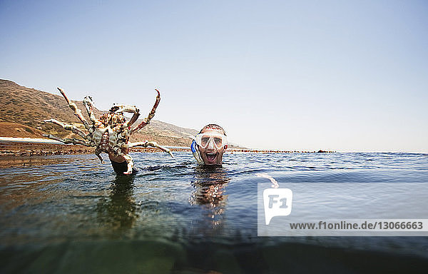 Portrait of excited man holding large crab while swimming in sea