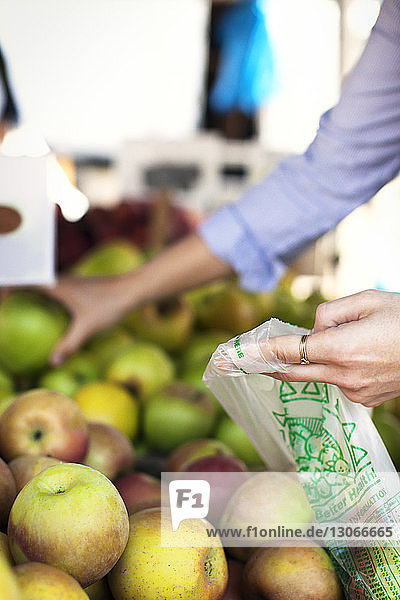 Ausgeschnittenes Bild einer Frau  die am Marktstand Obst einkauft