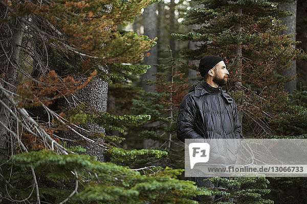 Thoughtful man looking away while standing in forest