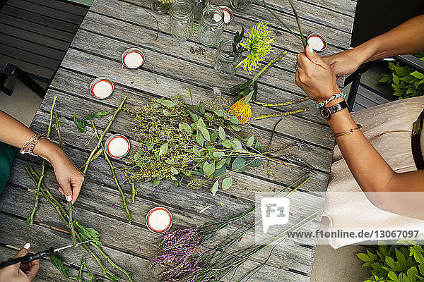 Cropped image of friends cutting plant stem at wooden table