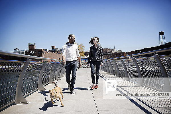 Happy couple with dog walking on footbridge against clear blue sky