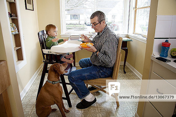 Mann sieht Hund beim Füttern eines auf einem Hochstuhl sitzenden Jungen an