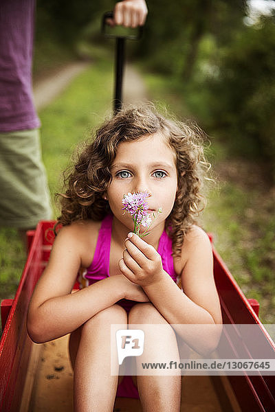 Porträt eines Mädchens  das Blumen hält  während es in einem Karren sitzt