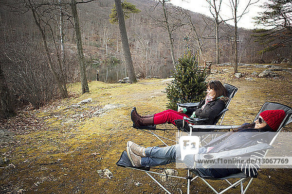 Friends relaxing on chair by Christmas tree in forest