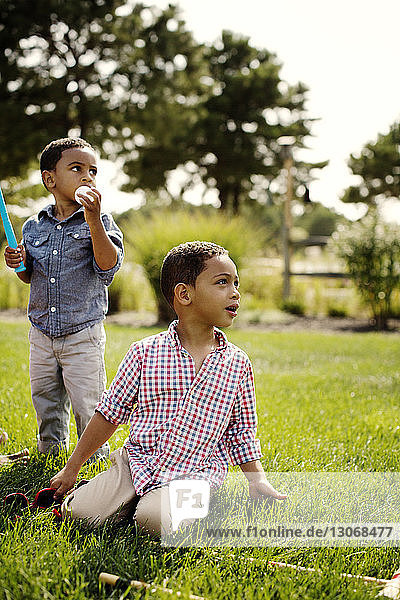 Brothers looking away while relaxing in backyard