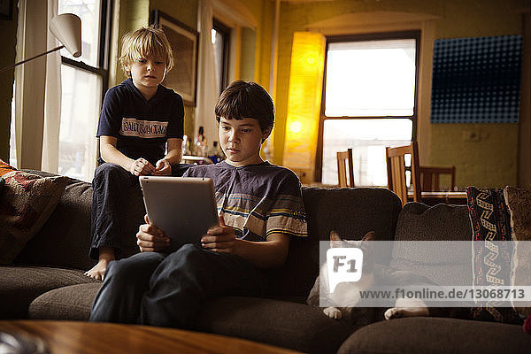 Boys using tablet computer while sitting by cat on sofa