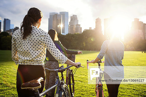 Rückansicht Freunde zu Fuß mit Fahrrädern auf dem Feld im Central Park