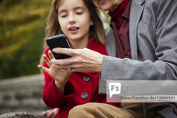 Family using mobile phone while sitting in park