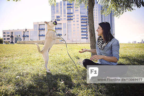 Glückliche Frau schaut auf einen Hund  der mit dem Ball auf einem Rasenfeld gegen die Stadt spielt