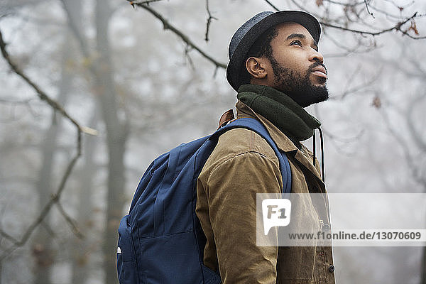 Side view of man looking up while standing in forest