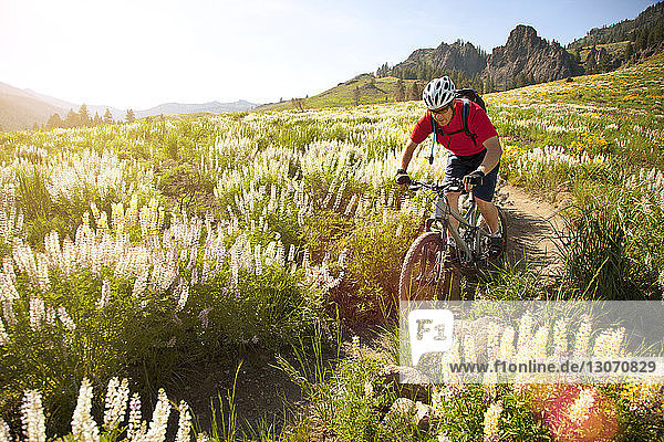 Man cycling on field in mountain