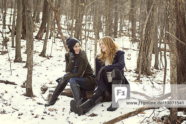 Glückliche Freunde unterhalten sich  während sie auf einem Baumstamm im Wald sitzen