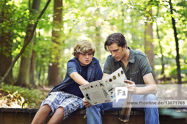 Lehrer und Schüler schauen Buch an  während sie auf einem Steg im Wald sitzen