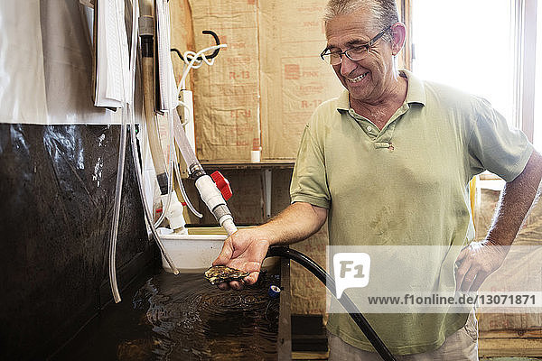 Lächelnder älterer Mann hält Auster  während er in der Fischereiindustrie steht