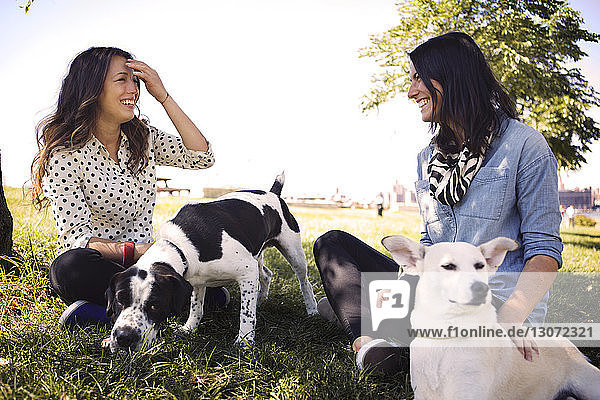 Happy women with dogs talking while resting on grassy field at park against clear sky