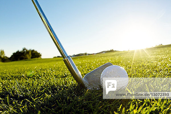 Golfschläger mit Ball auf Grasfeld