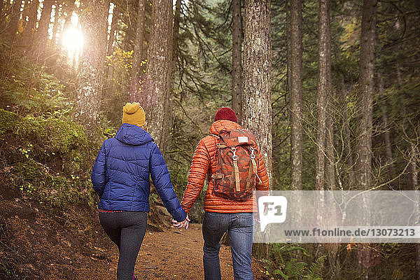 Rear view of couple holding hands and walking in forest