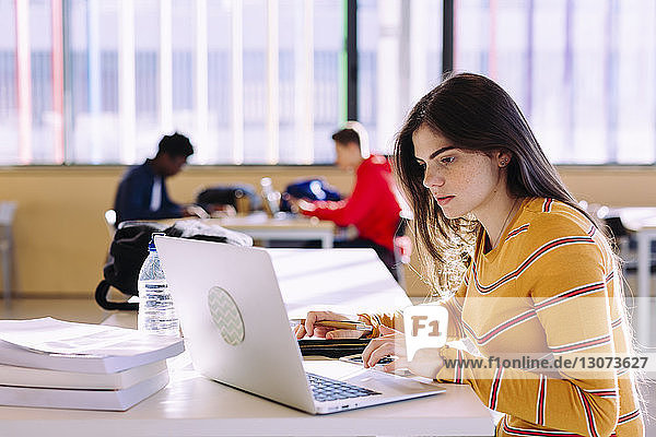 Seitenansicht einer Frau  die einen Laptop benutzt  während männliche Freunde im Hintergrund in der Bibliothek studieren