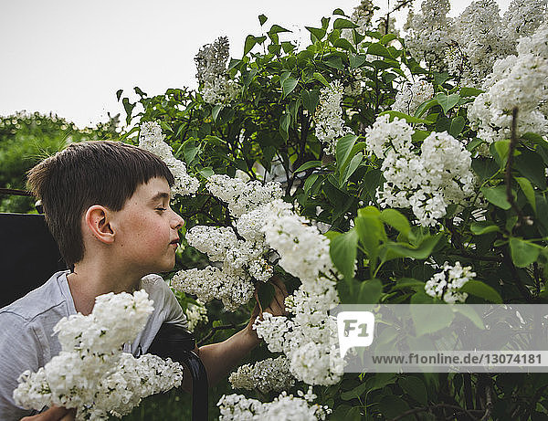 Boy with eyes closed smelling white flowers at park