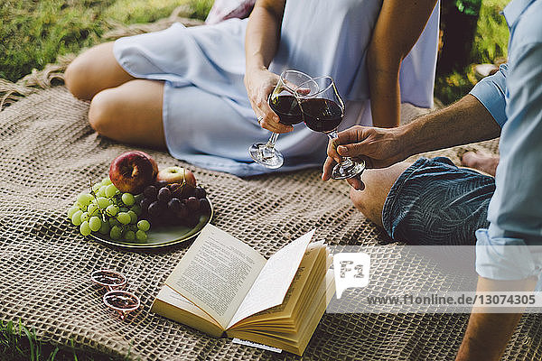 Mittelteil eines Paares  das auf einer Picknickdecke im Park sitzt und auf Weingläser anstößt