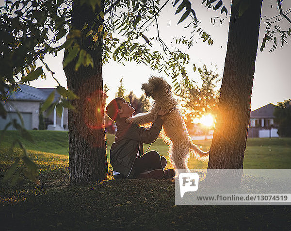 Seitenansicht eines Jungen  der mit einem Hund spielt  während er bei Sonnenuntergang im Park zwischen Baumstämmen sitzt