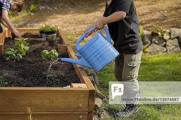 Boy watering plants while brother planting in raised-bed gardening at backyard