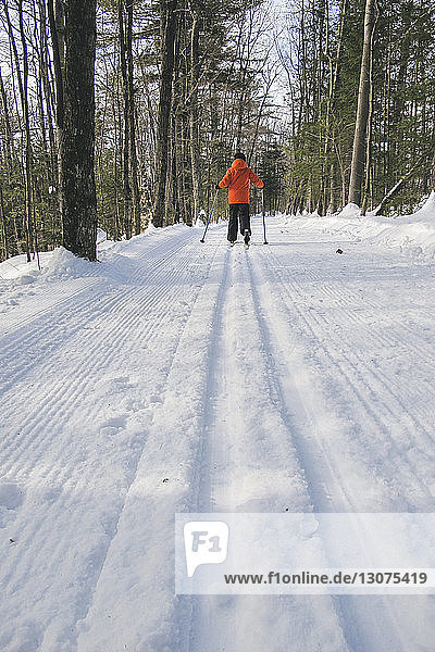 Rear view of boy skiing on snow covered field in forest