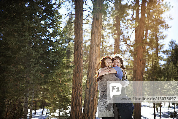 Fröhliche Freunde umarmen sich  während sie im Winter im Wald stehen