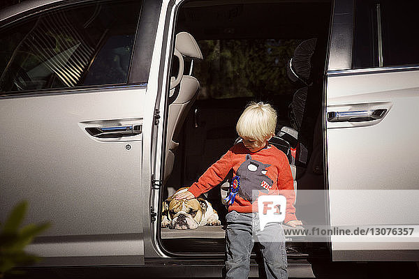 Junge streichelt englische Bulldogge  während er sich auf Auto stützt