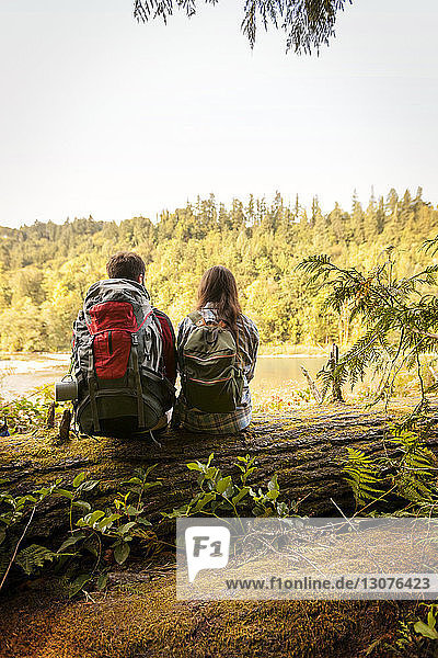 Rückansicht eines Paares  das auf einem umgefallenen Baumstamm im Wald sitzt