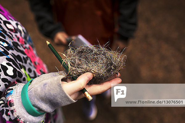 Ausgeschnittenes Bild eines handhaltenden Nestes im Wald