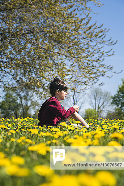 Side view of boy sitting amidst yellow flowering plants on field at park during sunny day